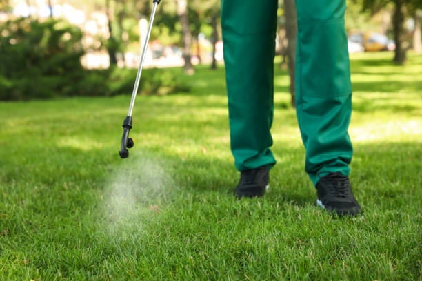 Best Best Pest Control Companies  in Orrville, OH
