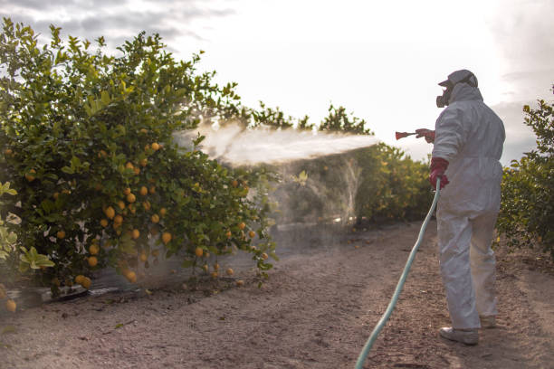Best Pest Removal Services  in Orrville, OH
