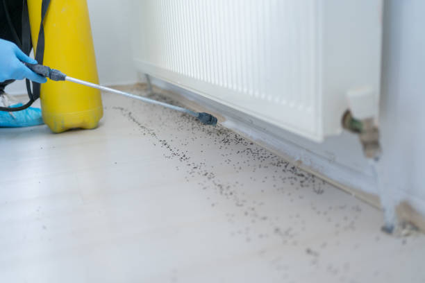 Best Pest Prevention Services  in Orrville, OH