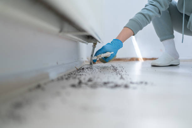 Wildlife Control Services in Orrville, OH